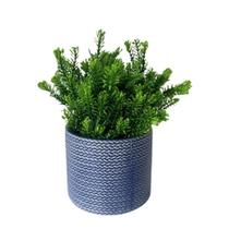 Vaso Em Cerâmica Basic Azul Strasbourg Elements