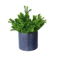 Vaso Em Cerâmica Basic Azul Strasbourg Elements Vaso Em Cerâmica Basic Azul Strasbourg Elements