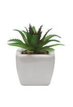 Vaso em Cerâmica Quadrado Cachepot com Suculenta Branco