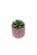 Vaso em Cimento com Suculenta Cachepot Vasinho 8cm