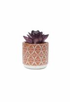 Vaso em Cimento com Suculenta Cachepot Vasinho 8cm