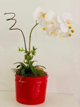 Vaso em Louça Cor Vermelho e Orquídeas Brancas em Silocone - Célia Galdino