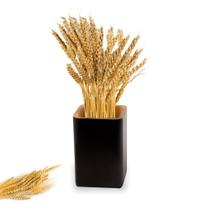 Vaso em Madeira Ecológica Multiuso Cachepot Flor Simply Home Vaso em Madeira Ecológica Multiuso Cachepot Flor Simply Home