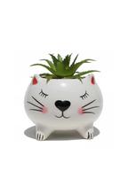 Vaso em Porcelana Cachepot com Suculenta Gato