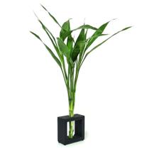 Vaso em Vidro e Suporte de Madeira Médio com Bambu da Sorte - Feng Shui