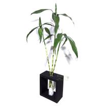 Vaso em Vidro Grande com Suporte de Madeira e Bambu da Sorte - Feng Shui
