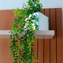 Vaso Espelhado 10x10 c/ Musgo e Pendentes de Dischidia 60cm Vaso Espelhado 10x10 c/ Musgo e Pendentes de Dischidia 60cm