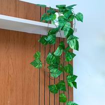 Vaso Espelhado 10x10 com Musgo e Pendentes de Jibóia 2.4m Vaso Espelhado 10x10 com Musgo e Pendentes de Jibóia 2.4m