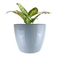 Vaso Estilo Vietnamita Vitrificado 27cm V02-01