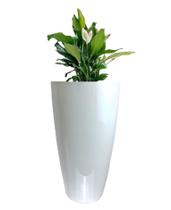 Vaso Estilo Vietnamita Vitrificado 55cm V01-02