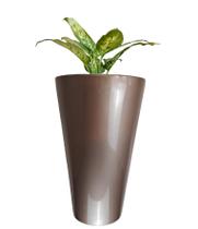 Vaso Estilo Vietnamita Vitrificado 55cm V03-02