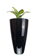 Vaso Estilo Vietnamita Vitrificado 77cm V01-03