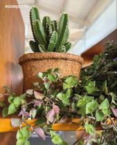 Vaso fibra de coco médio 26x14 cm