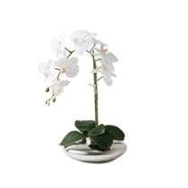 Vaso Flor Planta Artificial Orquídea Realista - Floralis