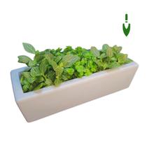 Vaso Floreira P/ Plantas 37cm Jardineira Pequena P/ Flores