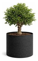 Vaso Grande 200 Litros Para Arvores Frutíferas Feltro Allgreen Vaso Grande 200 Litros Para Arvores Frutíferas Feltro Allgreen