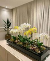 Vaso Grande Centro De Mesa Retangular Vidro Preto