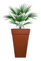 Vaso Grande Quadrado Coluna Rattan Flores Plantas 28l - Plasnew