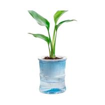 Vaso Hidropônico Transparente De Plástico Com Auto Irrigação Em Dupla Camada Para Escritório Vaso Hidropônico Transparente De Plástico Com Auto Irrigação Em Dupla Camada Para Escritório