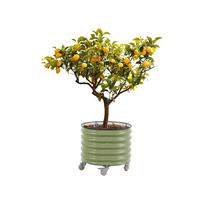 Vaso Jardineira Vego Garden 60 x 60 cm com Autoirrigação e Rodízios