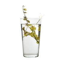 Vaso Luvidarte Cone Transparente - Tamanho 2 Vaso Luvidarte Cone Transparente - Tamanho 2