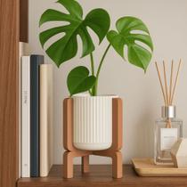 Vaso lyra pé alto para plantas naturais miira studio