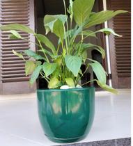 Vaso P Flor Planta Cone Decorativo Jardim Varanda Casa-VERDE Vaso P Flor Planta Cone Decorativo Jardim Varanda Casa-VERDE