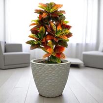 Vaso para Planta Cone Diamante 3D 40X50 Plantas Grandes palmeiras frutíferas 50 litros em polietileno