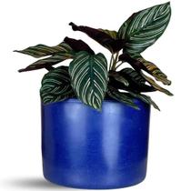 Vaso Para Planta Decorativo Redondo Mini Doha 14x19cm -