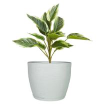 Vaso Para Planta Grande Flores Bojo Redondo Luxo Escovado Polietileno Com Prato