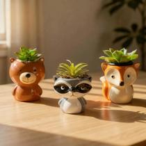 Vaso para Planta Pequeno Guaxinim Urso e Raposa Ceramica Vaso para Planta Pequeno Guaxinim Urso e Raposa Ceramica