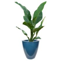Vaso Para Plantas Azul Decorativo Em Polietileno Luxo Flores Sala Escritório Jardim - DoceL@r