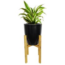 Vaso para plantas vaso barato vaso liso com suporte em madeira tripé 55x26 cm N1