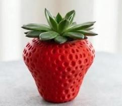Vaso para Suculenta Tema Morango Vaso para Suculenta Tema Morango