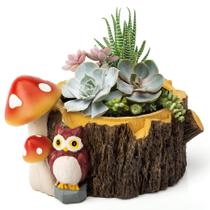 Vaso para Suculentas Yiiwinwy Coruja Tronco de Árvore com Drenagem Vaso para Suculentas Yiiwinwy Coruja Tronco de Árvore com Drenagem