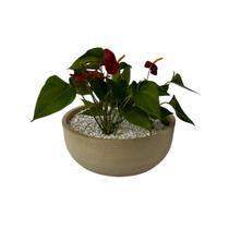 Vaso Planta 35x15 Bacia Cuia Polietileno