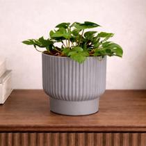 Vaso Planta Artificial Mini Costela De Adão Sala Escritorio Ideal para compor mesas de centro estantes nichos decoração delicada Vaso Planta Artificial Mini Costela De Adão Sala Escritorio Ideal para compor mesas de centro estantes nichos decoração delicada