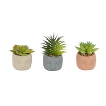 Vaso Planta Suculenta Artificial Rosto 8cm 1 Unidade Sortido Casual Home Vaso Planta Suculenta Artificial Rosto 8cm 1 Unidade Sortido Casual Home
