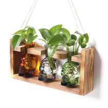 Vaso plantador de caveiras YYHGlass para terrário de plantas com suporte de madeira