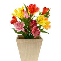 Vaso Plantas Cachepo Pequeno 15cm Quadrado Mdf Decorativo