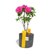 Vaso Plantas E Flores 3 Litros De Tela Moderno Cinza - King Pot