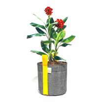 Vaso Plantas Tela Decorativo 11 Litros Moderno