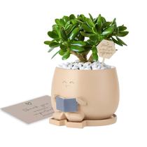 Vaso Planter Onzbala Bookworm com drenagem 10x8 cm