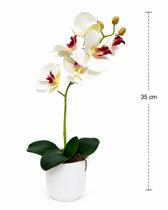 Vaso Plástico com Orquídea Artificial Florarte Decorativa 48 cm cor:Vaso 1 haste Branco Bordo Vaso Plástico com Orquídea Artificial Florarte Decorativa 48 cm cor:Vaso 1 haste Branco Bordo