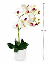 Vaso Plástico com Orquídea Artificial Florarte Decorativa 48 cm cor:vaso 2 hastes Branco Bordo Vaso Plástico com Orquídea Artificial Florarte Decorativa 48 cm cor:vaso 2 hastes Branco Bordo