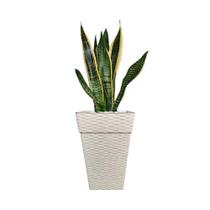 Vaso Polietileno Cachepot Rattan Quadrado Pequeno Branco 10L Decoração - Baitashop