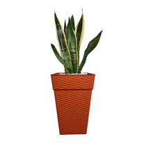 Vaso Polietileno Cachepot Rattan Quadrado Pequeno Marrom 10L Decoração