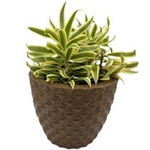Vaso Polietileno Cone Berlian Golda 3D Decorativo P/Plantas/ Jardins/ Escritórios de Luxo Vaso Polietileno Cone Berlian Golda 3D Decorativo P/Plantas/ Jardins/ Escritórios de Luxo