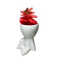 Vaso Porcelana Robert Plant P/ Banheiro Lavabo + Suculenta