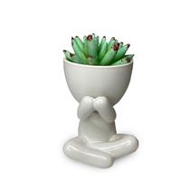 Vaso Porcelana Robert Plant P/ Banheiro Lavabo + Suculenta - FX